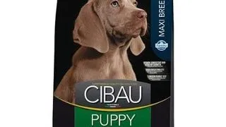 CIBAU Maxi Puppy Hrana uscata pentru catei de rasa mare 12 + 2 kg GRATIS