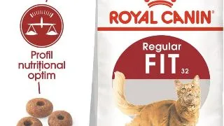 Royal Canin Fit32 Adult hrana uscata pisica, activitate fizica moderata, 2 kg