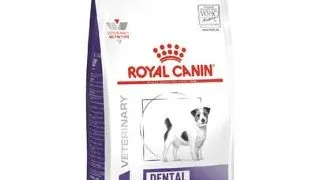 ROYAL CANIN Small Dog dental 3,5 kg hrana dietetica caini adulti de talie mica cu probleme dentare