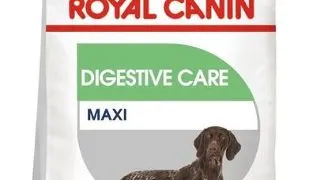 ROYAL CANIN CCN Maxi Digestive Care 12 kg hrana uscata pentru caini adulti, rase mari cu tract digestiv sensibil