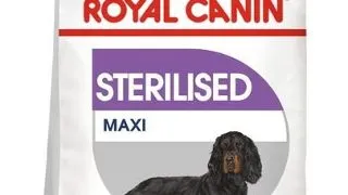 ROYAL CANIN CCN Maxi Sterilised 12 kg hrana uscata caini adulti de talie mare sterilizati