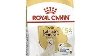 Royal Canin Labrador Adult 5+ hrana uscata caine senior, 12 kg