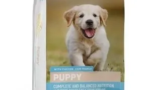 DIVINUS Puppy hrana uscata pentru caini juniori 20 kg