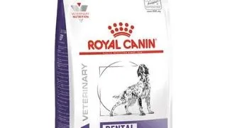 ROYAL CANIN Dog dental 6 kg