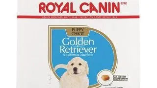 Royal Canin Golden Retriever Puppy hrana uscata caine junior, 1 kg