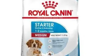Royal Canin Medium Starter Mother & Babydog gestatie/ lactatie pui hrana uscata caine 4 kg