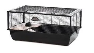 INTER-ZOO Bob Wood Cusca rozatoare 78 cm