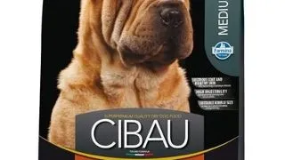 FARMINA Cibau Sensitive Lamb MEDIUM MAXI pentru caini rasa medie/mare cu sistem digestiv sensibil, miel 2,5 kg