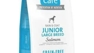 BRIT Care Grain-free Junior Large Breed Sac hrana pentru catei de talie mare, cu somon 12 kg