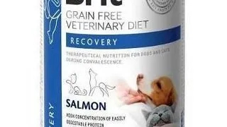 BRIT Veterinary Diet Recovery Salmon hrana refacere pentru caini si pisici 24x400 g