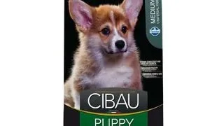 CIBAU Medium Puppy 12+2 kg hrana catei si femele gestante rasa medie