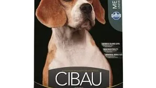 CIBAU Adult Medium 12 kg hrana pentru caini adulti rasa medie