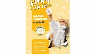 Hrana umeda pentru pisici Kimmy, pasare, 415g