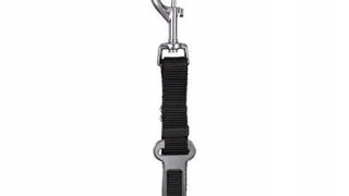 TRIXIE Lesa scurta caine, pentru masina XS-S 30-45 cm