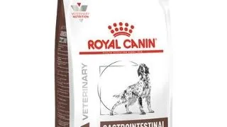 ROYAL CANIN VET Diet Dog Gastro Intestinal Moderate Calorie 2 kg hrana dietetica pentru caini adulti cu tulburari cronice ale sistemului digestiv