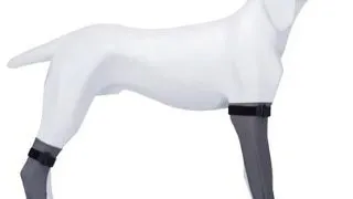 TRIXIE Sosete de protectie, silicon, M: 8 cm/35 cm