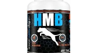 GAME DOG HMB CA Supliment alimentar caini pentru sustinerea organismului 120 tablete