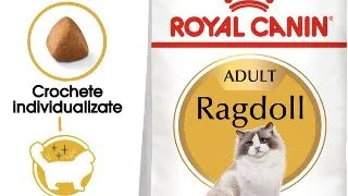 Royal Canin Ragdoll Adult hrana uscata pisica, 2 kg