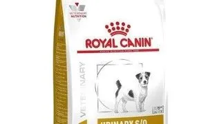 ROYAL CANIN Dog Hrana uscata pentru cainii adulti de talie mica cu probleme urinare 8 kg + hrana umeda 12 x 200g