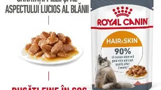 Royal Canin HairSkin Care Adult hrana umeda pisica, piele si blana (in sos), 12 x 85 g