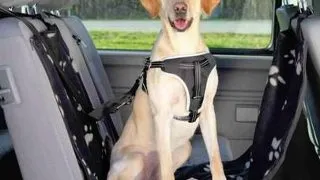 TRIXIE Husa auto pentru caini, 65 cm x 1,45 m