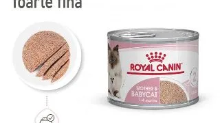 Royal Canin Mother  BabyCat hrana umeda pisica, mama si puiul (textura spumoasa), 195 g