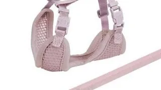 TRIXIE Junior Ham pentru pui, cu lesa, 26–34 cm / 10 mm, 2,00 m, lila