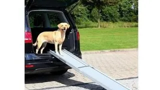 TRIXIE Rampa telescopica pentru caini