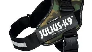 TRIXIE Ham Julius-K9®, Mini-Mini/S: 40–53 cm/22 mm, camo