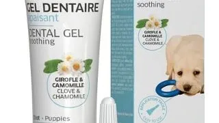 FRANCODEX Gel dentar calmant pentru catei 50 g