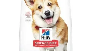 HILL'S Science Plan Adult Small&Mini Chicken 6 kg
