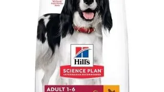 HILL'S Science Plan Adult Medium hrana uscata pentru caini de talie medie, cu pui 14 kg