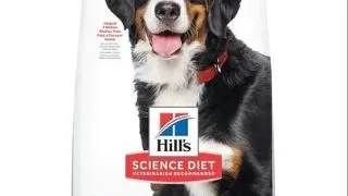 HILL'S Science Plan Hrana uscata cu pui pentru cainii adulti de talie mare 14kg