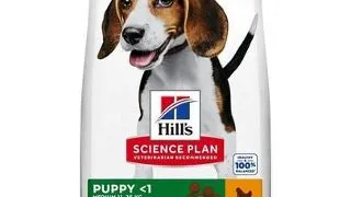 HILL'S Science Plan Canine Puppy Medium Chicken 18 kg Hrana uscata catei de talie medie, cu pui
