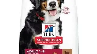 HILL'S Science Plan Canine Adult Large Breed Lamb&Rice hrana pentru caini cu miel si orez 14 kg talie mare