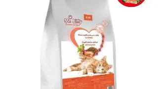 Hrana uscata pentru pisici Mr. Biffy, Somon, 10kg