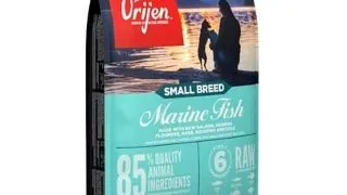 ORIJEN Small Breed Marine Fish 4,5 kg hrana caini adulti talie mica
