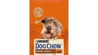 DOG CHOW Mature Senior hrana caini adulti si seniori, pui 14kg