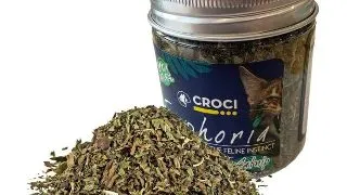 Iarba pentru pisici Croci Euphoria, 25g