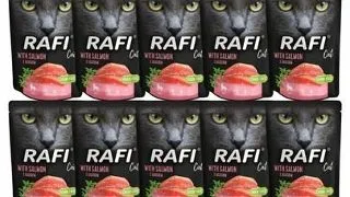 DOLINA NOTECI Rafi Cat mancare umeda pisici, cu somon 10x300 g