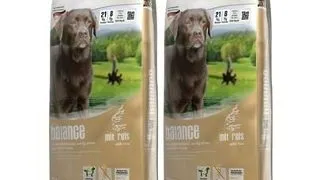 BEWI DOG Balance 2 x 12,5 kg hrana caini senior sau adulti cu activitate redusa