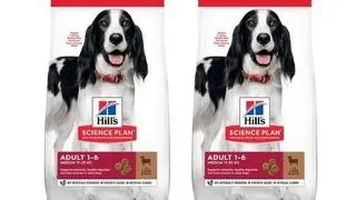 HILL'S Science Plan Canine Adult Medium Lamb &amp; Rice hrana caini de rasa medie, miel si orez 36 kg (2x18 kg)
