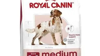 ROYAL CANIN Medium Adult 4kg hrana pentru caini adulti, rase medii