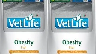 FARMINA Vet Life Obesity Fish 12 kg x 2 hrana dietetica pentru caini supraponderali, cu peste