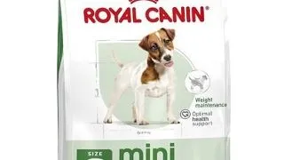 ROYAL CANIN Mini Adult 8kg hrana caine adult talie mica
