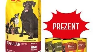 JOSERA JosiDog Regular Adult 15 kg + 4 conserve GRATIS