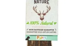 ZOLUX PUPPY coarne de cerb margini slefuite