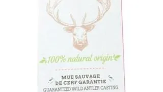 ZOLUX Corn de cerb pentru caini Hard XS snack natural