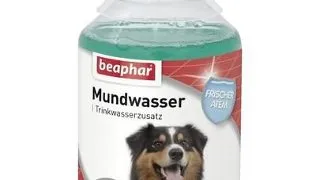 BEAPHAR Mundwasser 250 ml lichid igiena orala si dentara pentru csini si pisici