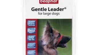 BEAPHAR Gentle Leader L botnita cu zgarda pentru caini pentru dresaj caini talie mare